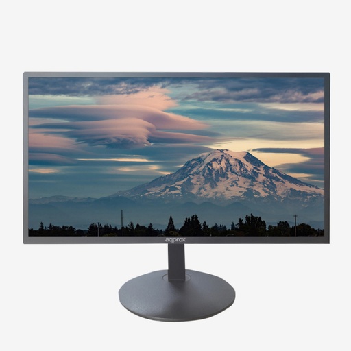 [39875] MONITOR APPM19B NEGRO APPROX