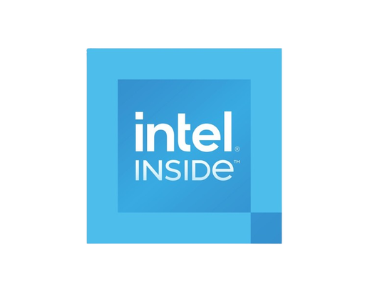 [39498] INTEL 300 DUAL CORE BOX