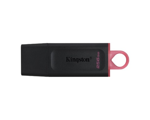 [30656] USB DISK 256 GB DATATRAVELER EXODIA USB3.2 KINGSTON